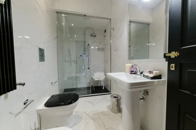 غرفة كلاسيكية مفردة بسرير مزدوج، Roma Luxus Hotel 1/1