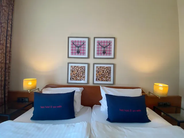 غرفة صغيرة بسرير كينج، Harz Hotel & Spa Seela 10/10