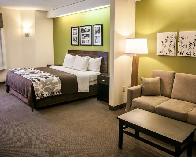 جناح بسريرين مزدوجين مع أريكة، Sleep Inn and Suites Hagerstown 1/2