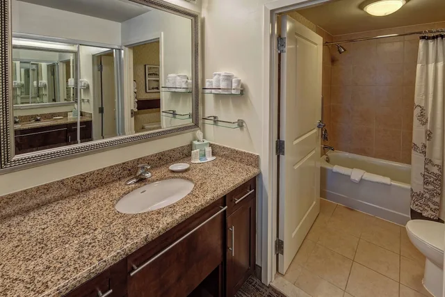 جناح بسرير كينج مع أريكة لذوي الإعاقة، Residence Inn Norfolk Downtown 5/5