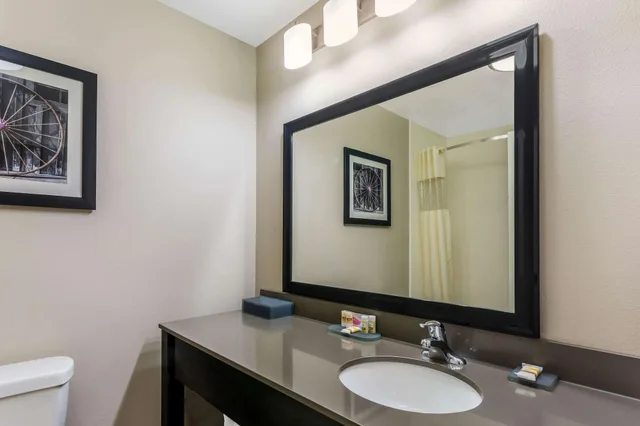 جناح ديلوكس بسرير كينج لذوي الإعاقة، La Quinta Inn & Suites by Wyndham Monahans 2/2