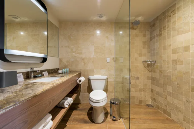 غرفة قياسية مفردة، Crowne Plaza Lima 5/16