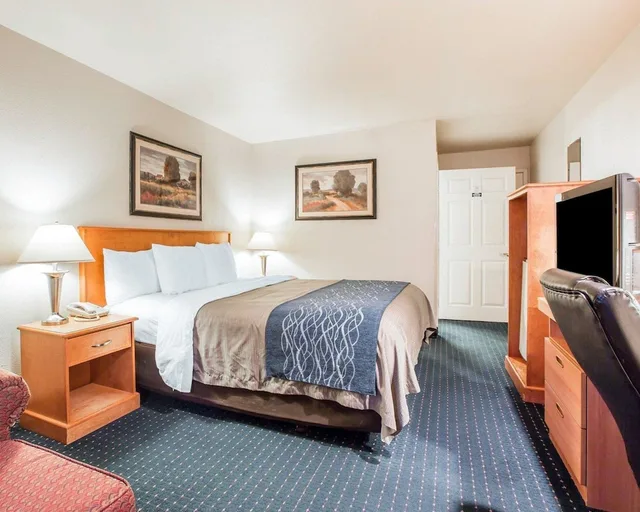 Standard, King Bed, Comfort Inn & Suites Salinas City Center Area 10/10
