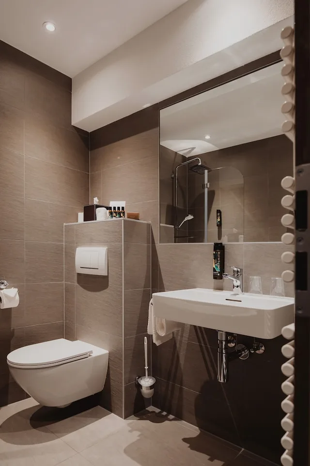 Panorama, Double Bed، Hotel Bristol 6/6