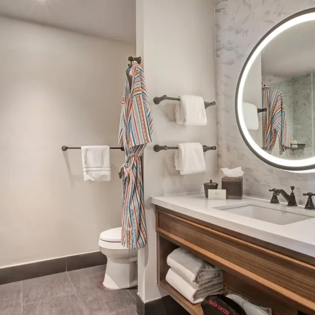 Room, Queen Bed, Hotel Paso Del Norte Autograph Collection 9/10