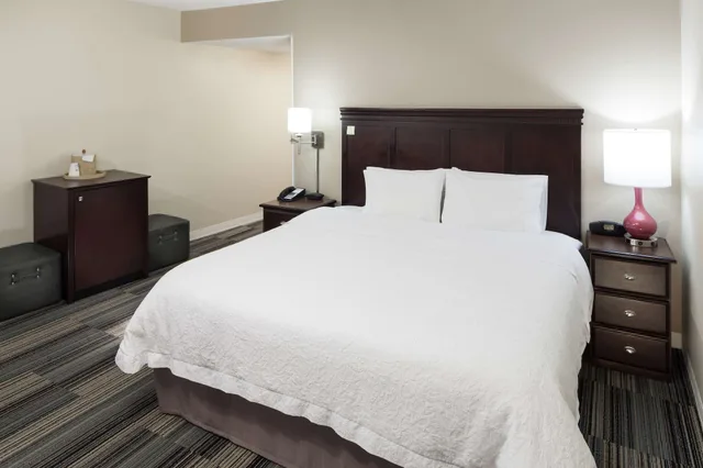 غرفة قياسية بسرير كينج، Hampton Inn Suites By Hilton Omaha Downtown 2/6