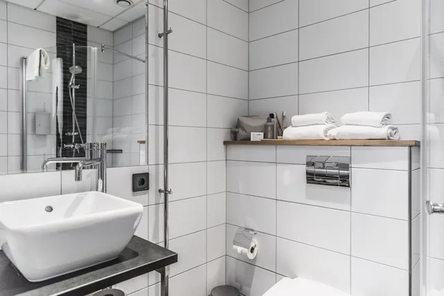 استوديو بسرير مزدوج مع أريكة، The More Hotel Lund 3/3