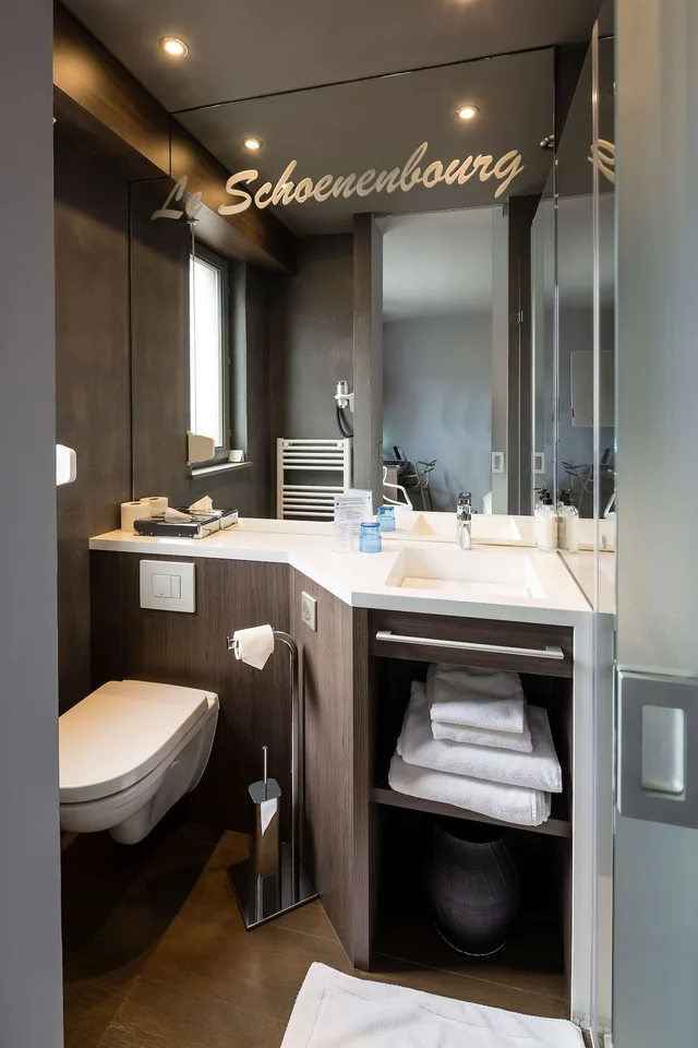 غرفة أساسية بسرير كوين، Best Western Plus Hotel and SPA Le Schoenenbourg 5/6