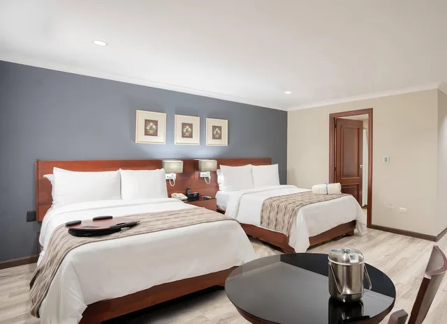 غرفة ديلوكس تنفيذية بسرير كينج، Hodelpa Gran Almirante Hotel & Casino 6/9