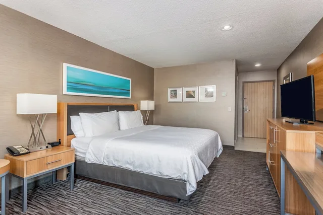 غرفة قياسية بسرير كينج لذوي الإعاقة، Holiday Inn Express Annapolis East-Kent Island 3/9