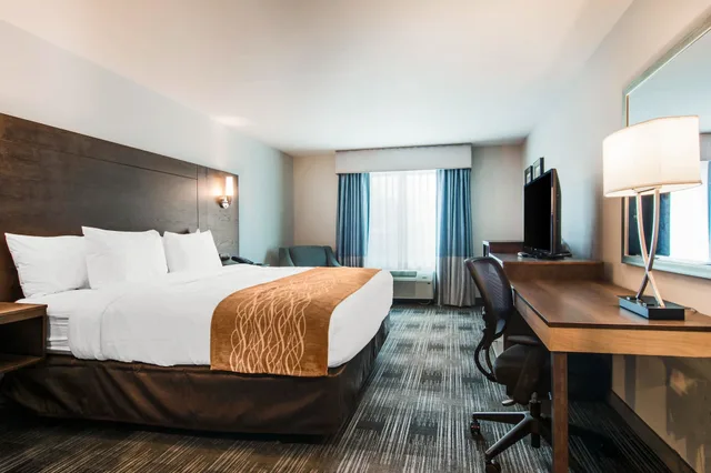 غرفة قياسية بسرير كينج، Comfort Inn & Suites East Ellijay, GA 3/3