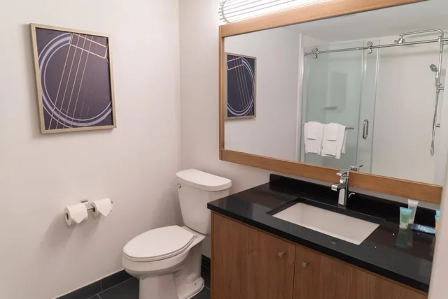 جناح بسرير كينج مع أريكة، Hotel Indigo Detroit Downtown 3/5