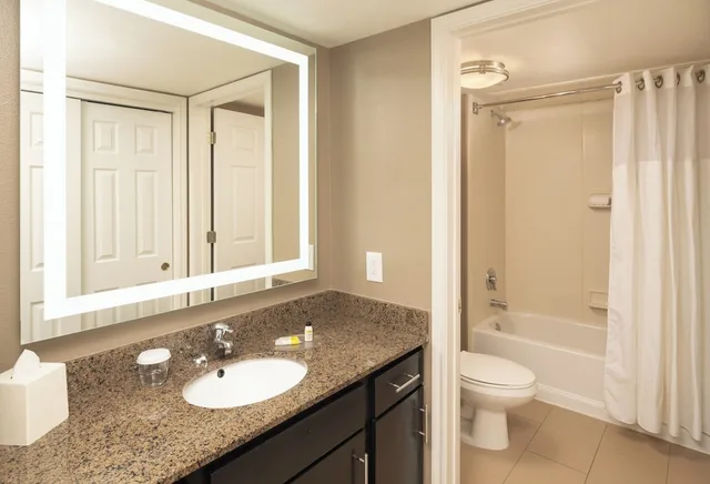 جناح بسرير كينج بغرفة نوم واحدة بمطبخ، STAYBRIDGE SUITES DENVER TECH CENTER 5/5