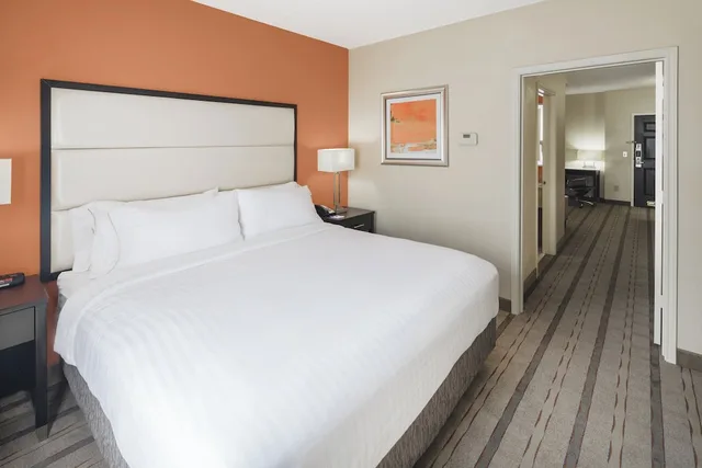 جناح بسرير كينج بغرفة نوم واحدة، Holiday Inn Express And Suites Duluth Mall Area 1/2