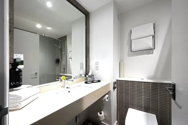 غرفة قياسية بسريرين منفصلين لذوي الإعاقة، Holiday Inn Cardiff North M4 Jct 32, an IHG Hotel 3/6