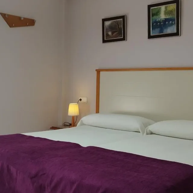 غرفة قياسية بسرير مزدوج بدون إطلالة، Hotel Miraya 1/9