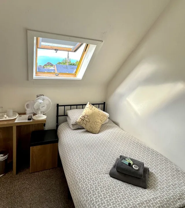 غرفة اقتصادية مفردة بسرير فردي، Riverside Hotel Bed and Breakfast 2/3