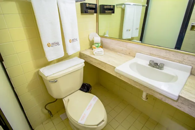 Standard, Hotel Ambassador Merida 3/4