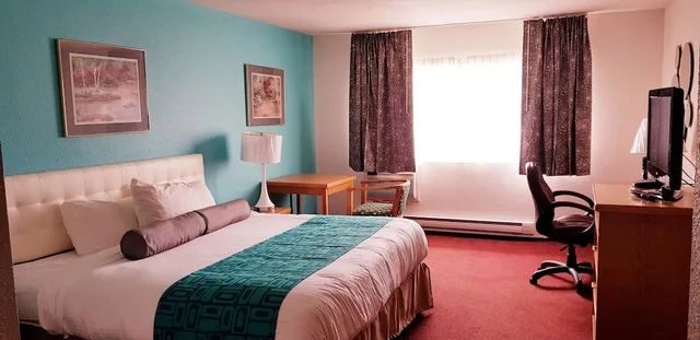 Room, Queen Bed, Pet Friendly, Howard Johnson By Wyndham Fort St John 5/9