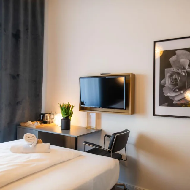 غرفة مفردة، Florum Hotel (Ex Tabor Hotel) 6/8