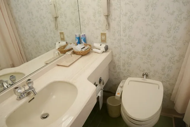 غرفة ديلوكس مفردة للمدخنين، Rembrandt Hotel Atsugi 8/11