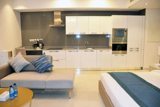 استوديو، The Lodge Suites 1/1