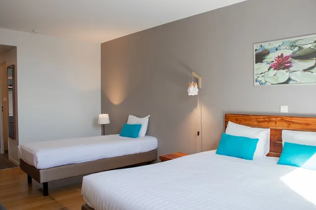 Studio, 1 Double and 1 Single Bed, Aparthotel Victoria Garden Bordeaux Center 4/9
