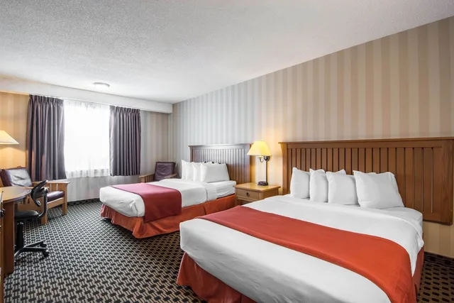 Standard, 2 Queen Beds, Quality Hotel Drumheller 2/2