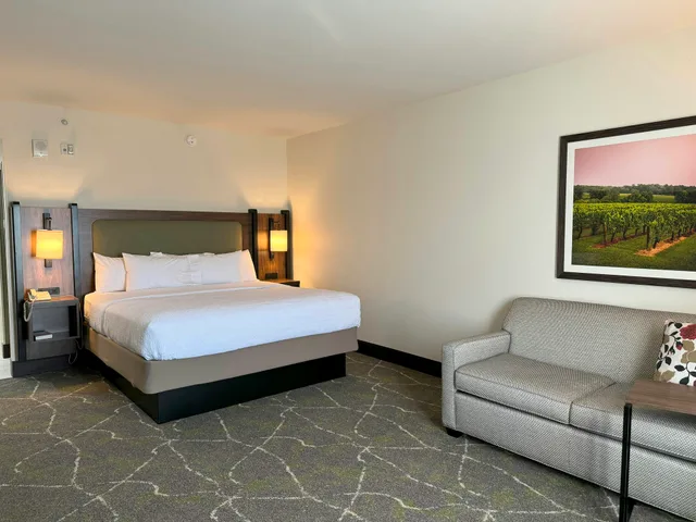 غرفة بسرير كينج لذوي الإعاقة، Hampton Inn Suites Dobson 1/4