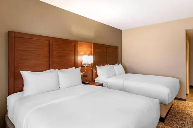 Standard, 2 Queen Beds, Accessible, Comfort Inn & Suites Clarkston Pine Knob Area 1/5