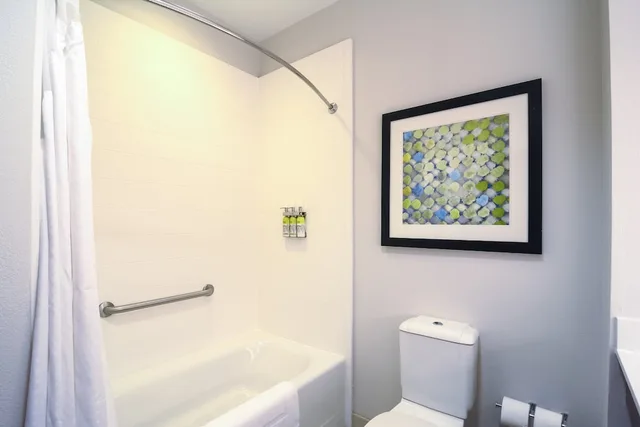 غرفة قياسية بسرير كينج، Holiday Inn Express Hotel Suites Tampa Usf Busch Gardens 9/9