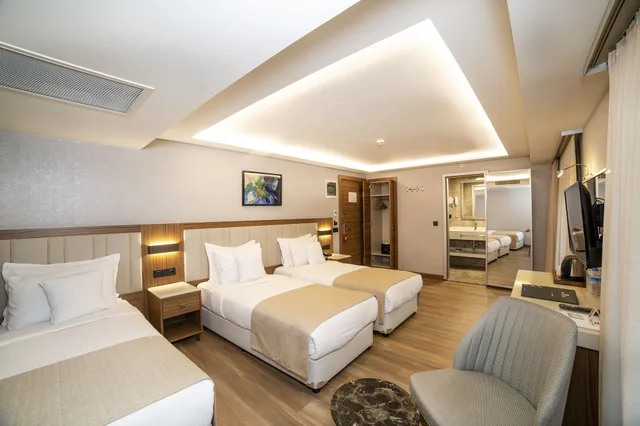 غرفة قياسية ثلاثية، Erboy Hotel Istanbul 3/8