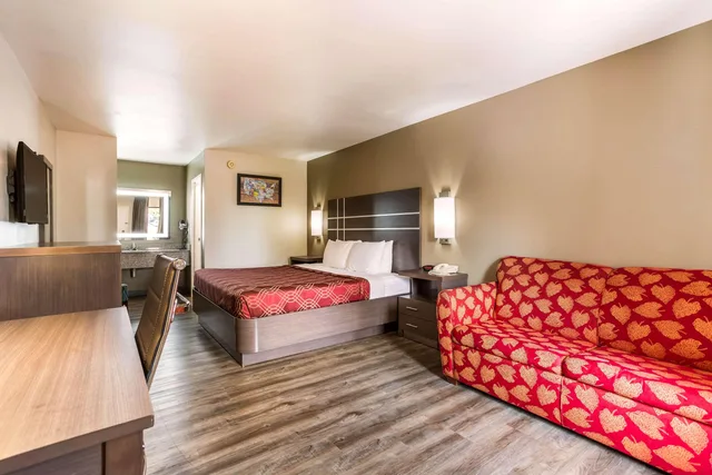 Upgrade, King Bed، Econo Lodge Inn & Suites Murfreesboro Shopping District 2/4