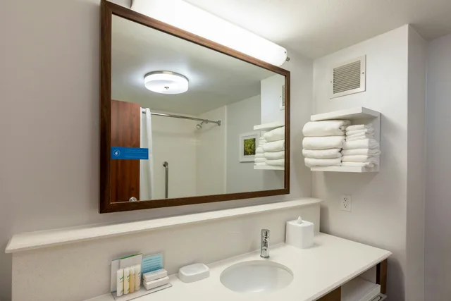 غرفة قياسية بسرير كينج، Hampton Inn Houston/Humble-Airport Area 5/5