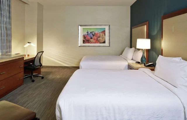 جناح بسريرين كوين بغرفة نوم واحدة مع أريكة، Hilton Garden Inn Phoenix Downtown 1/4