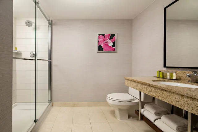 2 Rooms, Ambassador, Suite, King Bed، DoubleTree by Hilton Fairfield Hotel & Suites 2/2