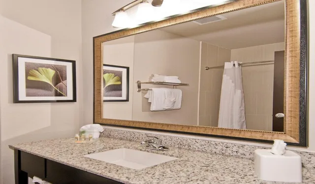 غرفة بسريرين كوين، Holiday Inn Austin Airport 2/3