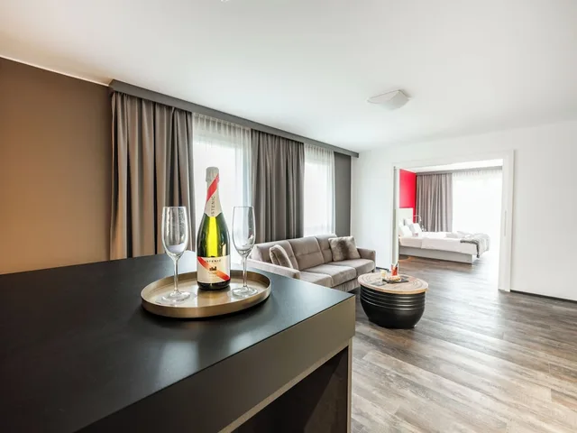 جناح بريميوم بسرير كينج مع أريكة، HOTEL CITY MARIBOR 5/10