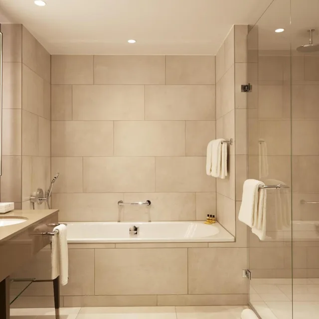 جناح تنفيذي، Hyatt Regency Amsterdam 6/6