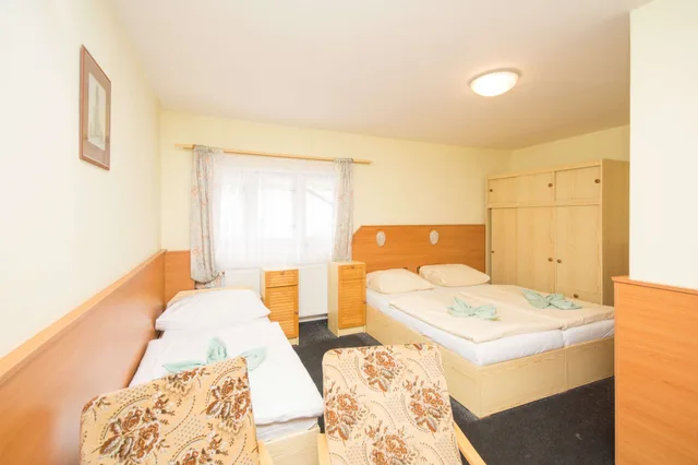 Standard, Quadruple, Double and Twin Beds, Sport Resort Hotel Gejzirpark 5/6