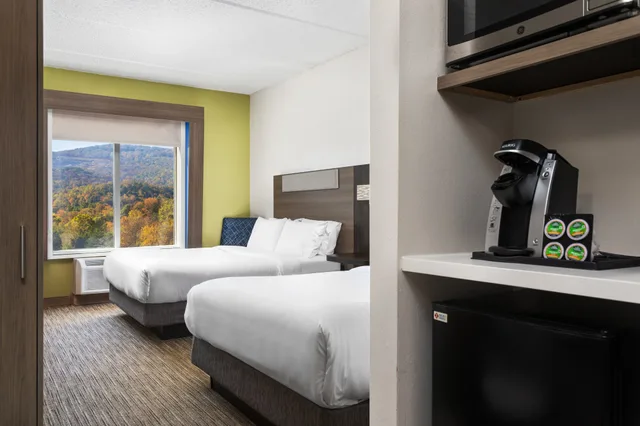 غرفة بسريرين كوين، Holiday Inn Express Hotel And Suites Chattanooga At Lookout Mtn Tn 3/4