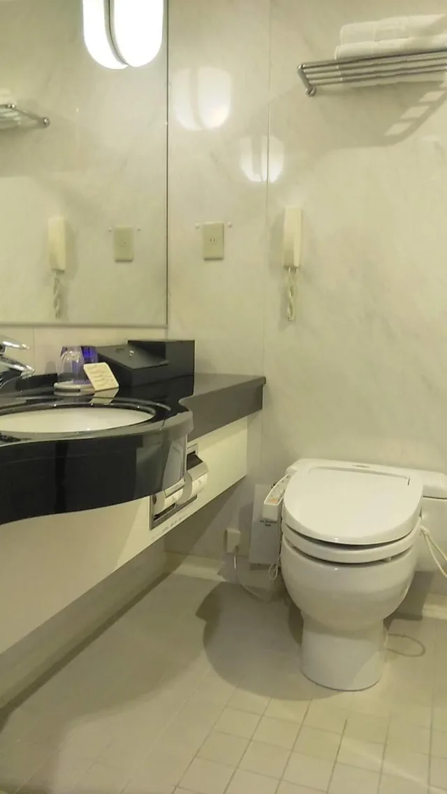 غرفة سوبيريور ثلاثية بسريرين منفصلين، Hotel Metropolitan Nagano 8/9
