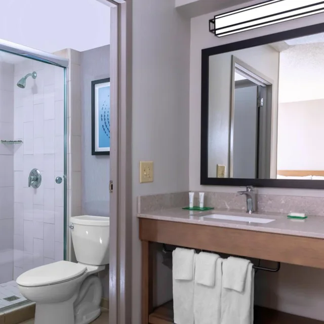 Room, 2 Double Beds, Sofa, High Floor, Hyatt Place Dallas/Arlington 2/3