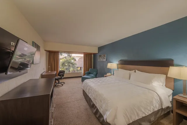 غرفة بسرير كينج بإطلالة على الحديقة، Holiday Inn GUADALAJARA EXPO 2/6