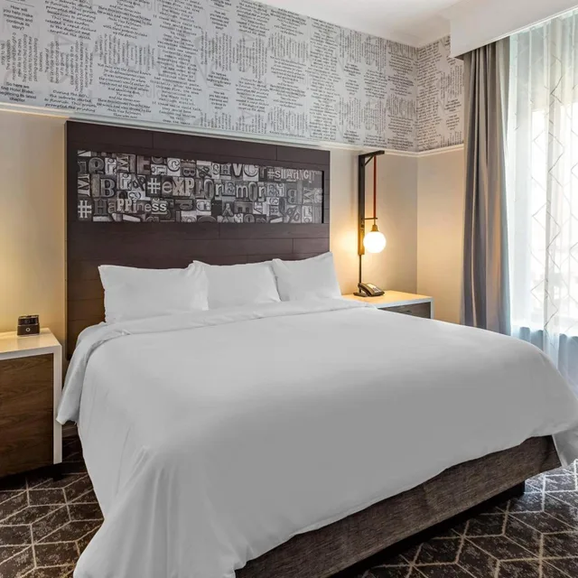 جناح بسرير كينج بغرفة نوم واحدة، Hilton Vacation Club Hotel Blake Chicago 1/2