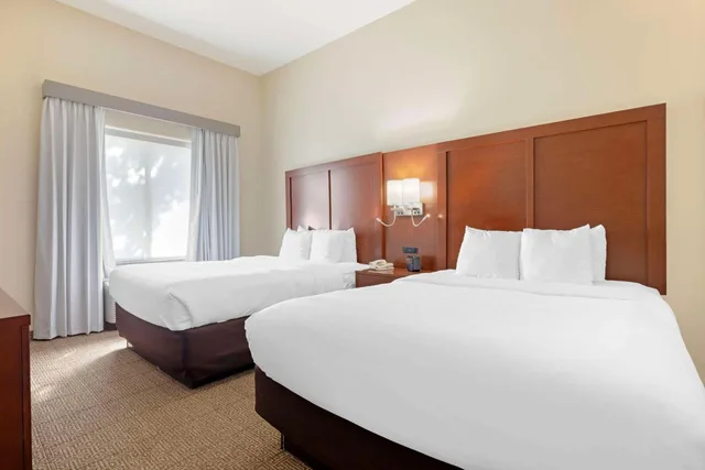 جناح بسريرين كوين مع أريكة، Comfort Suites West Dallas Cockrell Hill 1/3