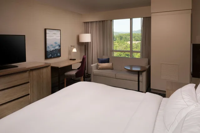 غرفة بسرير كينج مع أريكة، Hilton Asheville Biltmore Park 1/3