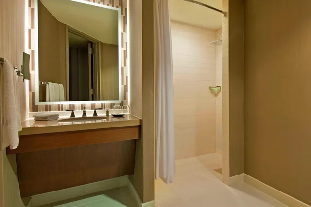 Room, King Bed, Accessible, The Westin Peachtree Plaza Atlanta 14/14