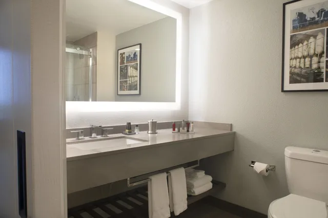 غرفة بسرير كينج، Winston-Salem Marriott 4/4