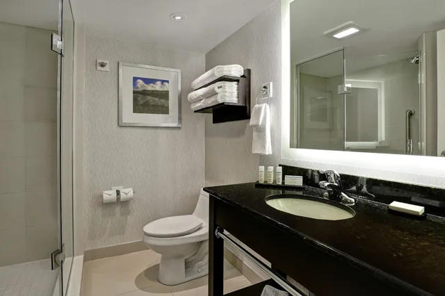 Premium, King Bed, Canadian Us Falls View, Sofa, Embassy Suites By Hilton Niagara Falls Fallsview 5/5